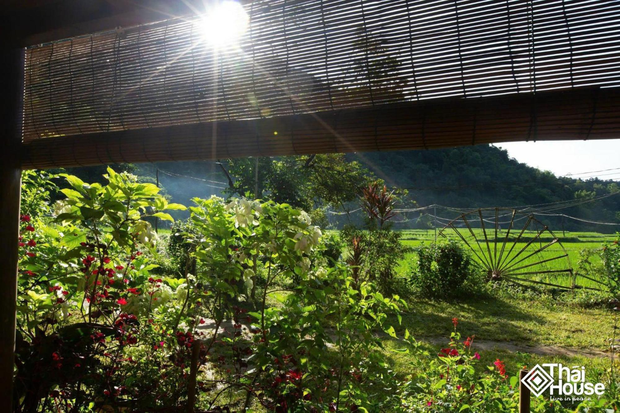 Huong Ba Thuoc Thai House Pu Luong - Century Old Stilt House With Terrace Views מראה חיצוני תמונה