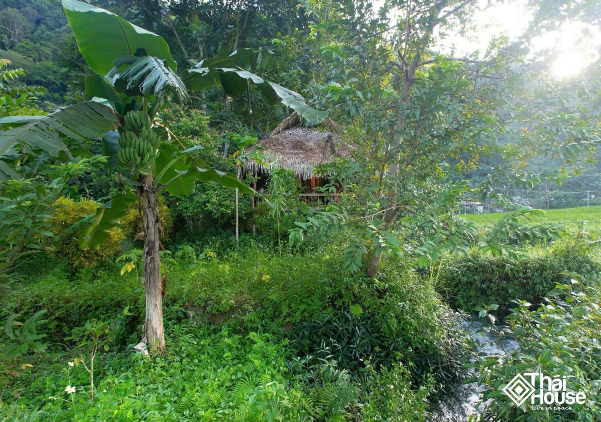 Huong Ba Thuoc Thai House Pu Luong - Century Old Stilt House With Terrace Views מראה חיצוני תמונה