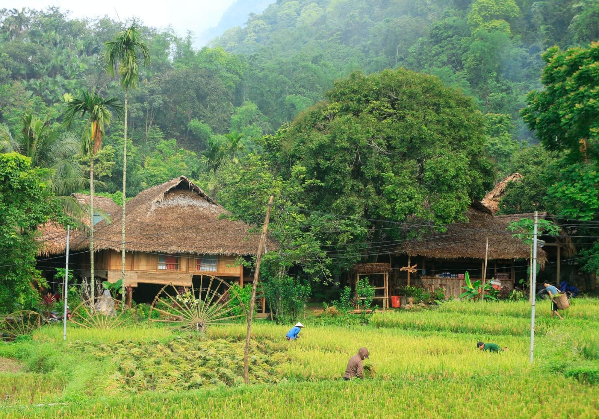 Huong Ba Thuoc Thai House Pu Luong - Century Old Stilt House With Terrace Views מראה חיצוני תמונה